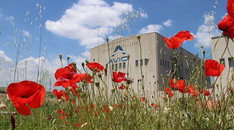 Avio spa building