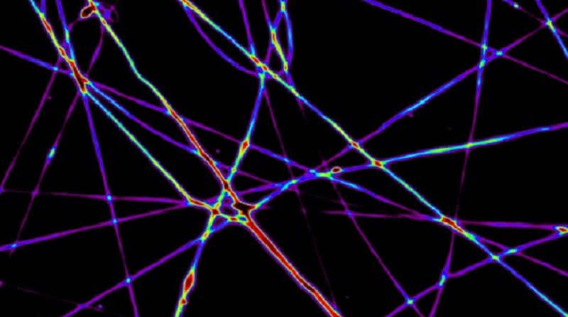Istituto nanoscienze del Consiglio nazionale delle ricerche - CnrNano Laser non-convenzionale
